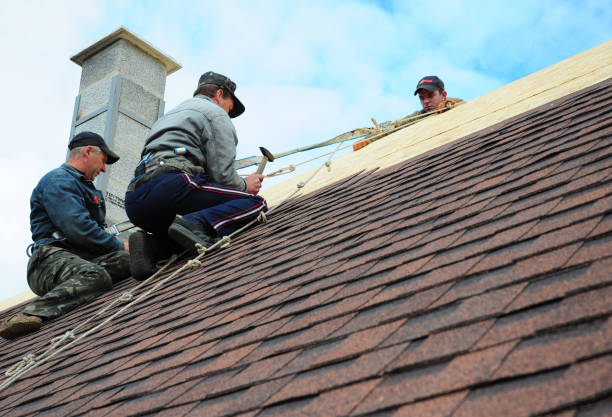 Best Residential Roofing Contractor  in Ferrysburg, MI