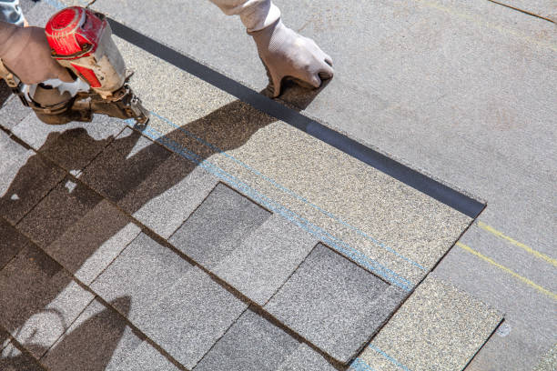 Best Roof Waterproofing Services  in Ferrysburg, MI